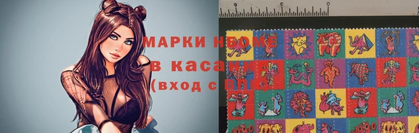 твердый Бородино