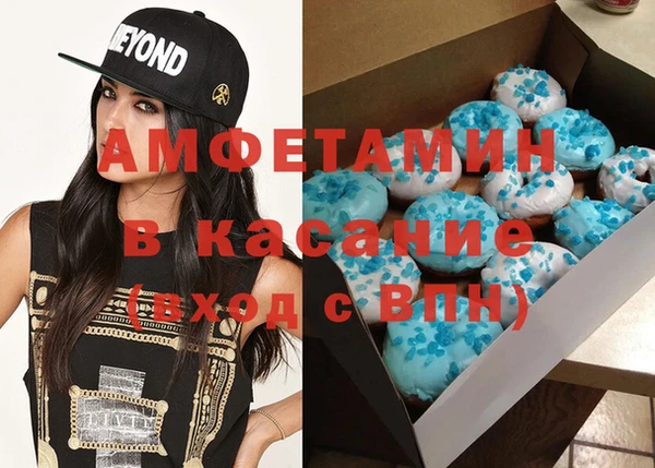 твердый Бородино
