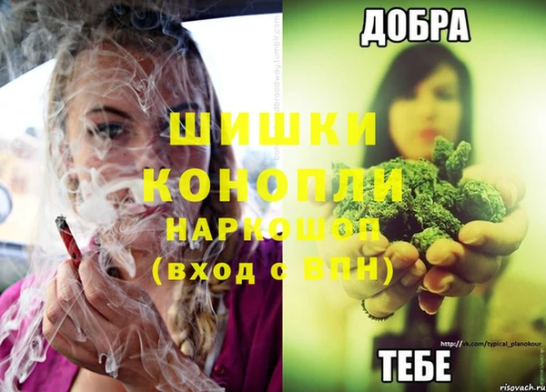 мдпв Бронницы