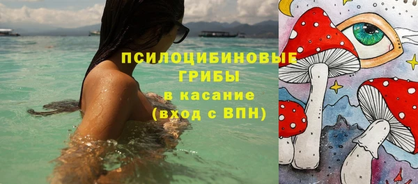 мдпв Бронницы