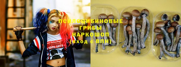 мдпв Бронницы