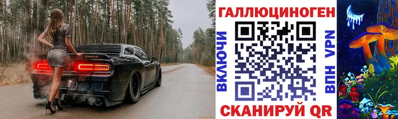 Псилоцибиновые грибы Cubensis  Петропавловск-Камчатский 