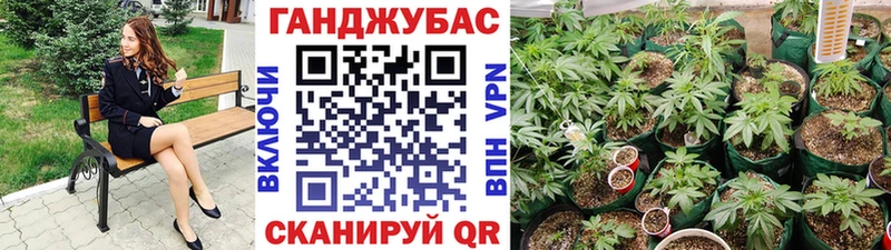 где купить наркоту  Петропавловск-Камчатский  MEGA зеркало  Конопля VHQ 
